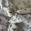 Силиконов лигавник Mushie Whales
